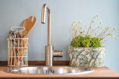 a kitchen sink with a faucet and some plants at PgrHome Colosseo 11 in Rome