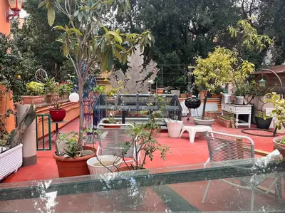 a garden with chairs and potted plants on a patio at trastevere' s Musa in Rome