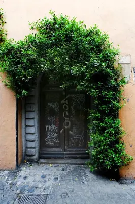 a black door with ivy on the side of a building at Vivaldi in Rome