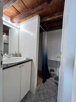 a bathroom with a sink and a toilet at Torre Argentina Apartment in Rome