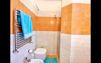 a bathroom with a toilet and a shower at Charming mini apartment near Vatican with parking in Rome