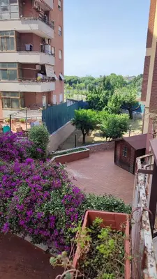 a garden with purple flowers in front of a building at Montagnola House in Rome