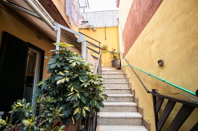 a staircase leading up to a building with a plant at Yourquadrarooms B&b in Rome
