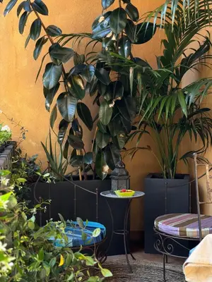 a room filled with lots of plants and a table at Apartment in the heart of Rome in Rome