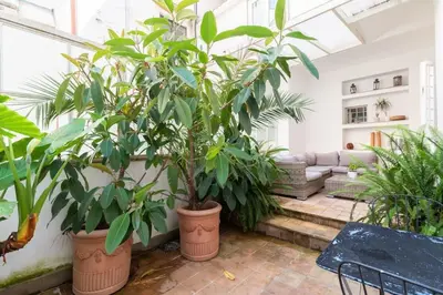 a room with two large plants in large pots at Trastevere Lovely Apartment in Rome