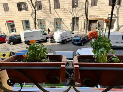 two potted plants on a table in a parking lot at B&B Eternal Rome Inn in Rome
