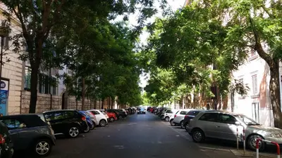 a row of cars parked on a street with trees at Domus Lunae in Rome