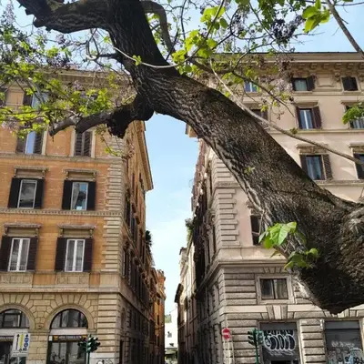 Vatican near Sweet Home Terrace