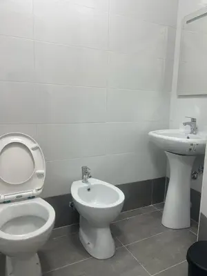 a bathroom with a toilet and a sink at Roma Palace in Rome