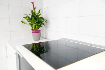 a potted plant sitting on a counter in a bathroom at babuino terrace in Rome