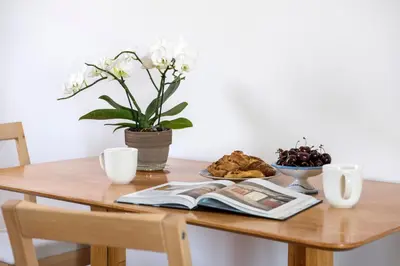 a table with a book and a plate of food on it at Refined upper-level apartment - Unique View of Rome's Skyline Tibernestrome in Rome