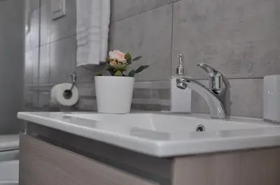 a bathroom sink with a vase with a flower on it at Big House Colosseo in Rome