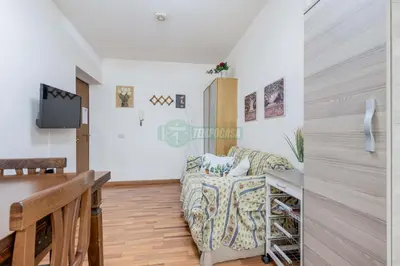 a living room with a couch and a tv at Daniela, pied-à-terre al Vaticano in Rome