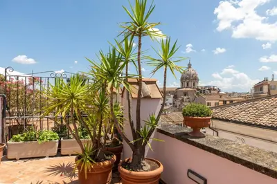 a group of palm trees on a balcony at iFlat Penthouse in Campo de' Fiori in Rome
