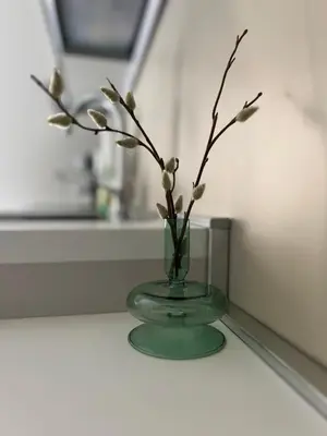 a green vase with flowers in it on a table at Cozy home close to the city center in Rome