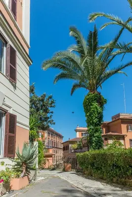 a palm tree in the middle of a street at Studio in Trastevere Village in Rome