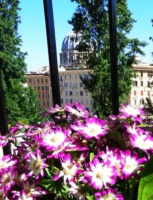 a bunch of pink flowers in front of a window at San Pietro Shabby Chic Apartment in Rome