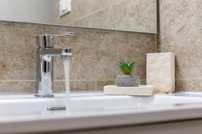 a bathroom sink with a faucet and a plant on it at iFlat Blue Cozy Loft near Saint Peter in Rome