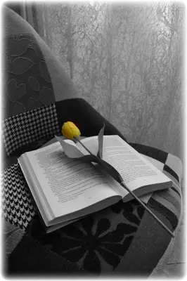 a book with a knife and a banana on top of it at B&B Di Leo in Rome