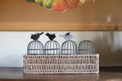 three birds in cages sitting on top of a table at Mami's Home Trastevere apt with private terrace in Rome