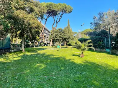 a park with a palm tree in the grass at L' oasi di Roma - Modern apartment with pool&parking in Rome