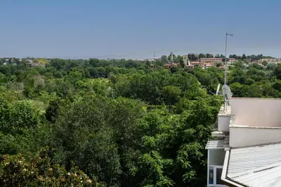a view from the roof of a house with trees at Rooftop Porretta Città Giardino Check-in From 3 Pm To 10 Pm in Rome