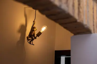 a lamp with a monkey hanging from a wall at Scipioni Luxury Suite in Rome