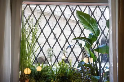 a window with a bunch of plants in it at Suite del Grillo - Fori Imperiali - Il Nido d'Amore in Rome