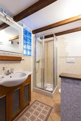 a bathroom with a shower and a sink at CircusMaximus n.3 in Rome