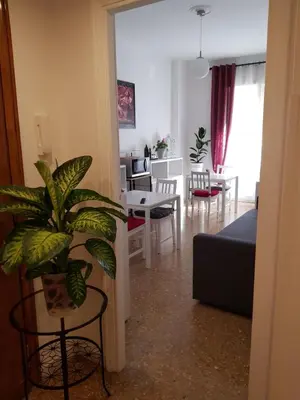 a living room with a couch and a table with a plant at Rose Antiche Vatican B&B in Rome