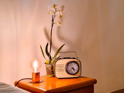 an old radio sitting on a table with a flower at Vatican Shelter in Rome