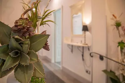 a hospital room with a plant in the hallway at Suite Castrense in Rome