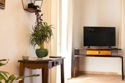 a living room with a tv and a table with a plant at Obiettivo Roma in Rome