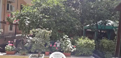 a garden with flowers and trees and a white chair at Gioia Guest House in Rome