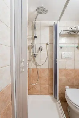 a bathroom with a shower and a toilet at Studio d'Artista, Elegante Loft nel Cuore di Roma in Rome