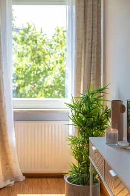 a living room with a window and a plant at Minerva - Elegant New Classic close to Vatican in Rome