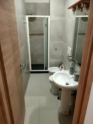 a bathroom with a toilet and a sink and a shower at THERESA APARTMENT in Rome