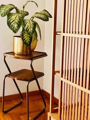 a plant sitting on a table next to a chair at d-cube camera Colosseo in Rome