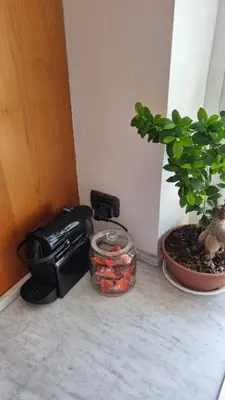 a glass jar of carrots next to a potted plant at Quarto Piano - intero alloggio a Roma in Rome