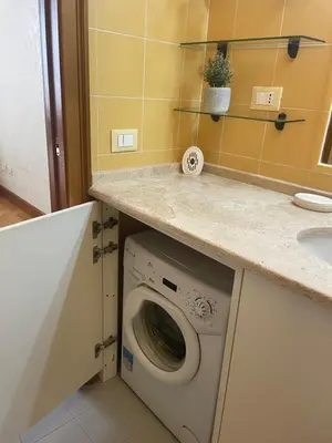 a kitchen with a washing machine and a sink at Casa vacanze al 315 a San Giovanni in Rome