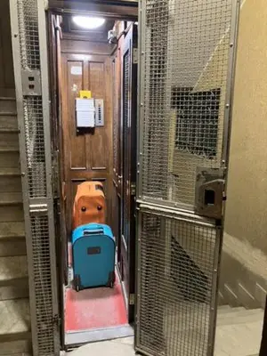 a dog is standing inside of a cage at Cactus2023 in Rome