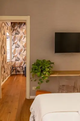 a bedroom with a tv on a wall with a plant at Roma Centro Storico Luxury - Via del Corso in Rome