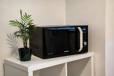 a black microwave on a white shelf with a plant at VATICAN VIBES in Rome