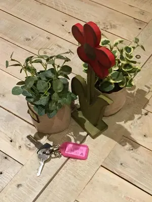 a pair of potted plants and a pair of keys at Roma Da Noi Suite in Rome