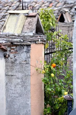 a bird house on the side of a building at Appartamento Coronari in Rome