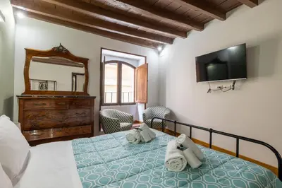 a bedroom with a bed with a tv and a mirror at woodstyle apartment - navona in Rome