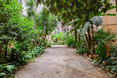 a path through a garden with trees and plants at Colors & Culture near Colosseum in Rome