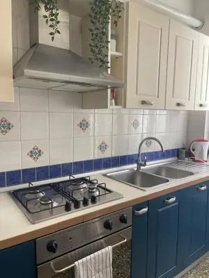 a kitchen with a stove and a sink at Brando Apartment in Rome
