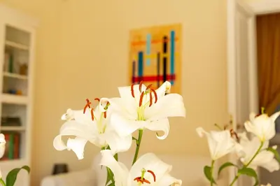 a vase filled with white flowers in a room at Borghese Magnolia Suite in Rome