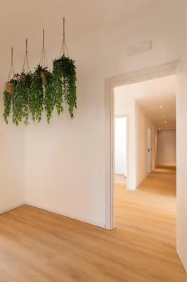 an empty room with a hanging plant at [Ampio appartamento vicino al Vaticano] in Rome